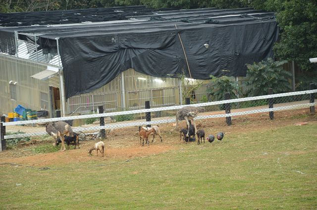 原生應用植物園21