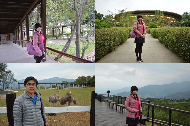 原生應用植物園45