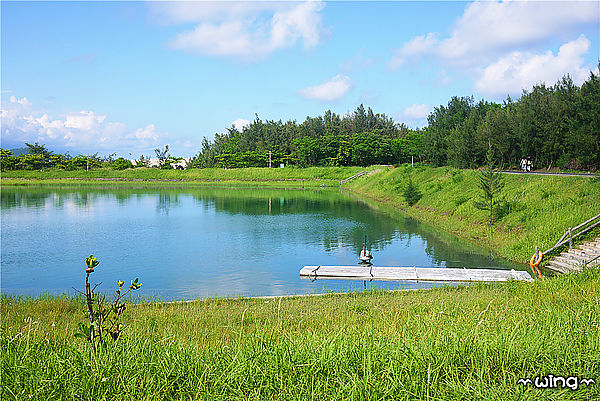 台東森林公園：［台東］令人讚嘆的美景【台東森林公園】琵琶湖景。海濱公園海景