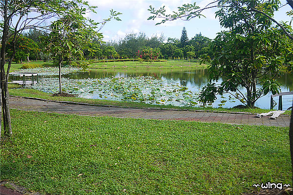 台東森林公園：［台東］令人讚嘆的美景【台東森林公園】琵琶湖景。海濱公園海景