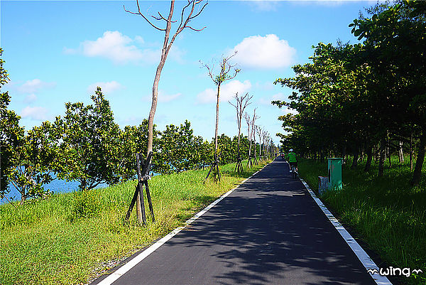 台東森林公園：［台東］令人讚嘆的美景【台東森林公園】琵琶湖景。海濱公園海景