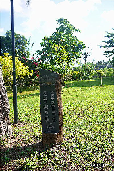台東森林公園：［台東］令人讚嘆的美景【台東森林公園】琵琶湖景。海濱公園海景