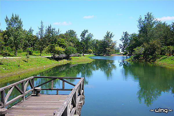 台東森林公園：［台東］令人讚嘆的美景【台東森林公園】琵琶湖景。海濱公園海景