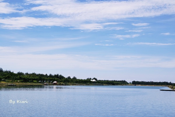 台東森林公園:【台東市區】夏季避暑勝地~溪中與魚水之歡之如夢似幻活水湖(台東森林公園內)