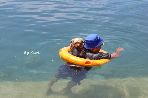 台東森林公園:【台東市區】夏季避暑勝地~溪中與魚水之歡之如夢似幻活水湖(台東森林公園內)