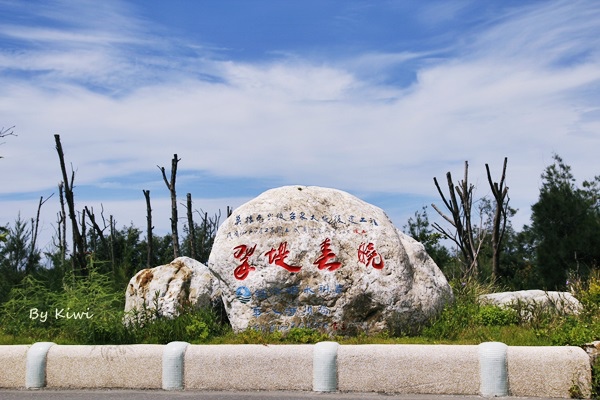 台東森林公園:【台東市區】夏季避暑勝地~溪中與魚水之歡之如夢似幻活水湖(台東森林公園內)