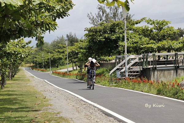 台東森林公園:【台東市區】夏季避暑勝地~溪中與魚水之歡之如夢似幻活水湖(台東森林公園內)