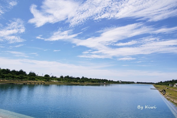 台東森林公園:【台東市區】夏季避暑勝地~溪中與魚水之歡之如夢似幻活水湖(台東森林公園內)