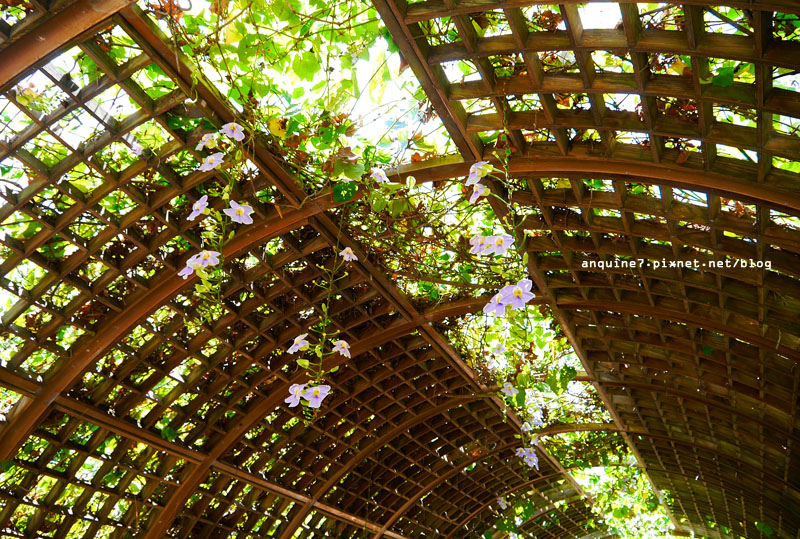 廖西瓜＠台東森林公園37