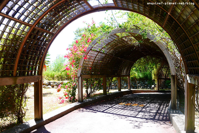 廖西瓜＠台東森林公園38