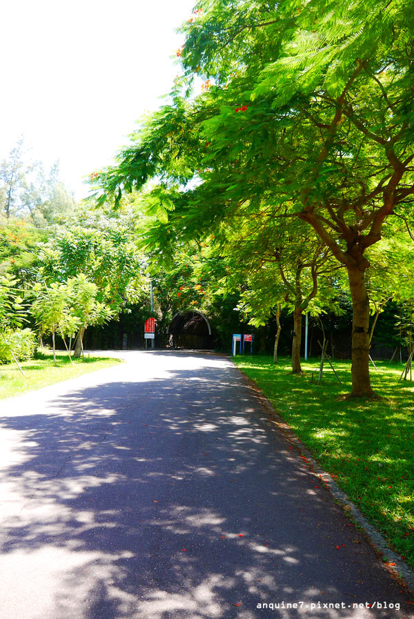 廖西瓜＠台東森林公園4