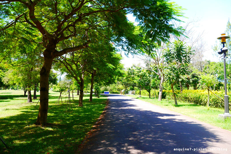 廖西瓜＠台東森林公園40