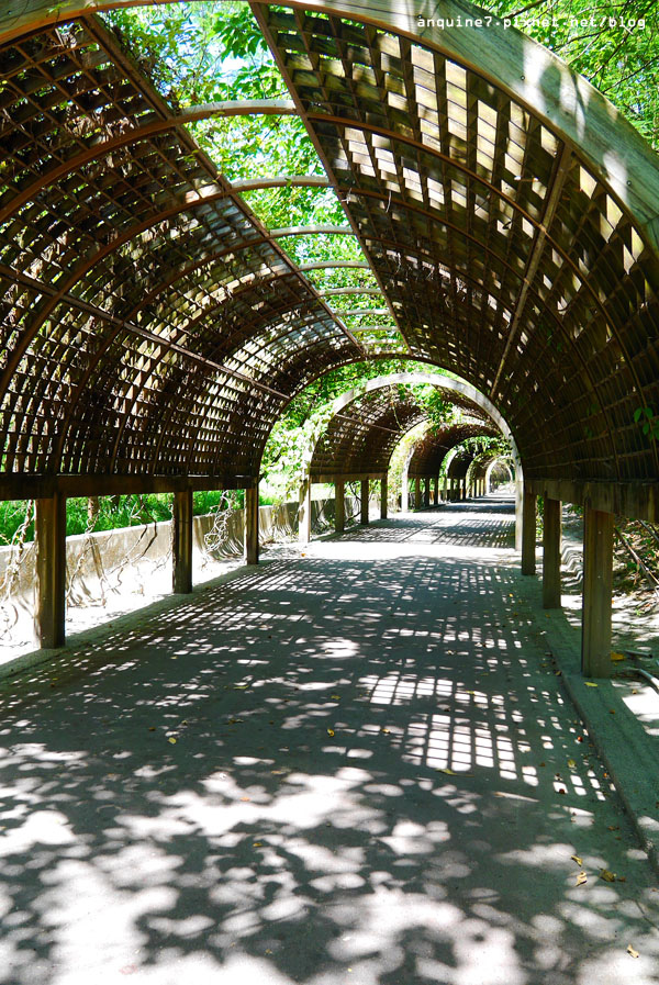 廖西瓜＠台東森林公園36