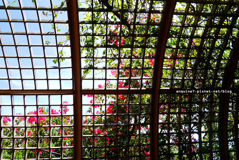 廖西瓜＠台東森林公園39