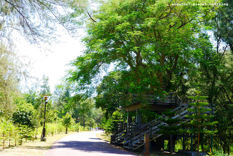 廖西瓜＠台東森林公園35