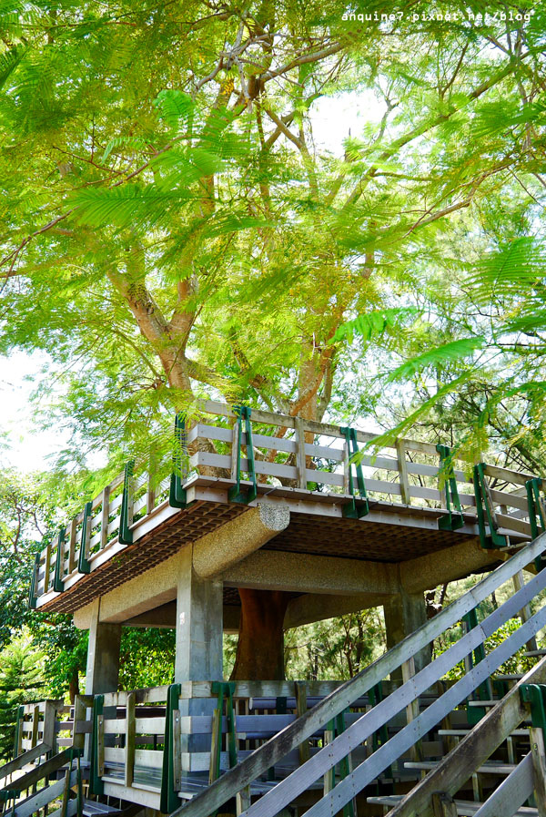廖西瓜＠台東森林公園樹屋34
