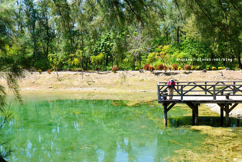 廖西瓜＠台東森林公園琵琶湖17
