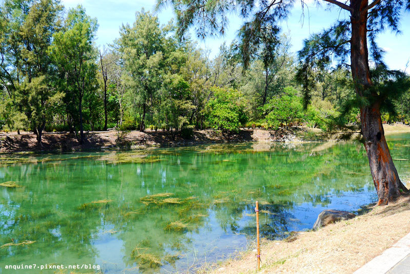 廖西瓜＠台東森林公園琵琶湖19