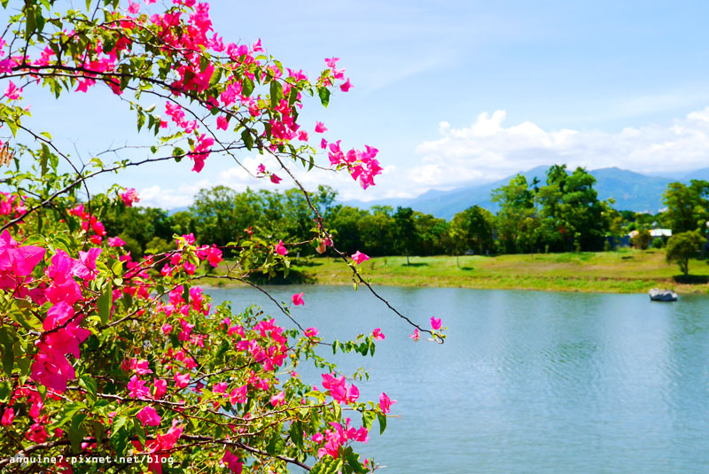 廖西瓜＠台東森林公園43