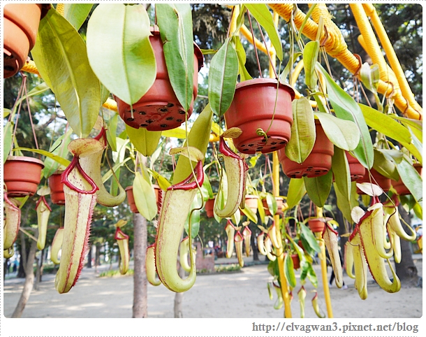 2014台南百花祭-26