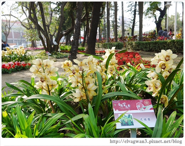2014台南百花祭-7