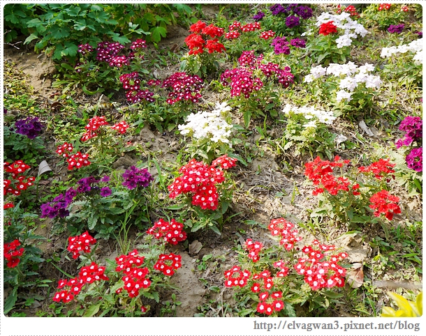 2014台南百花祭-14-1