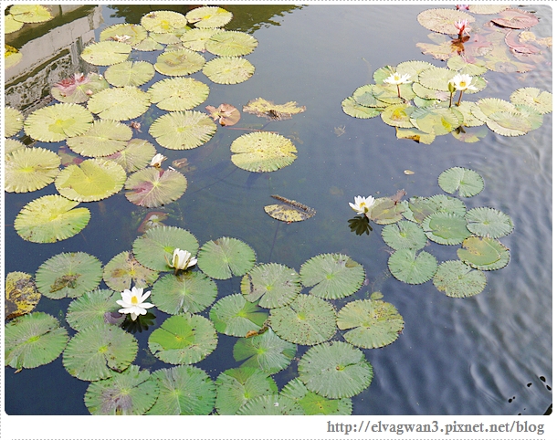 2014台南百花祭-36