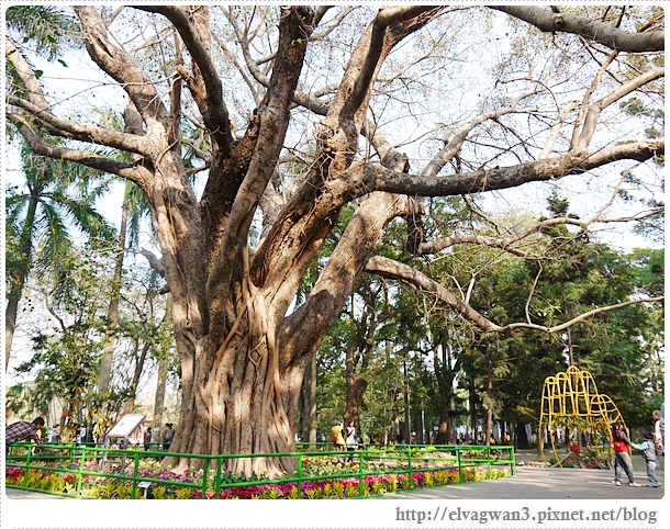 2014台南百花祭-24
