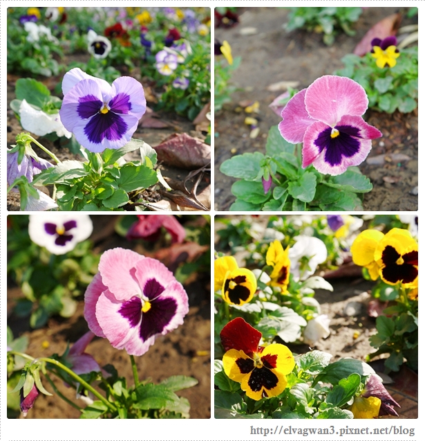 2014台南百花祭-18