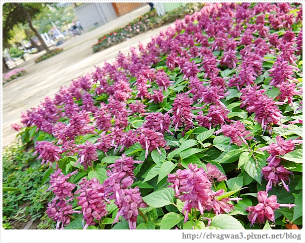 2014台南百花祭-10