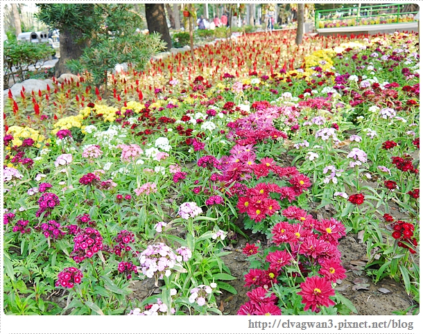 2014台南百花祭-21