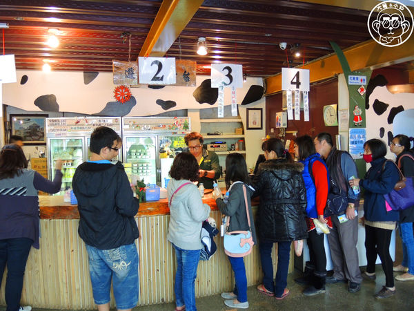 四方牧場：作伙來企投【苗栗竹南･四方鮮乳休閒牧場】哞〜