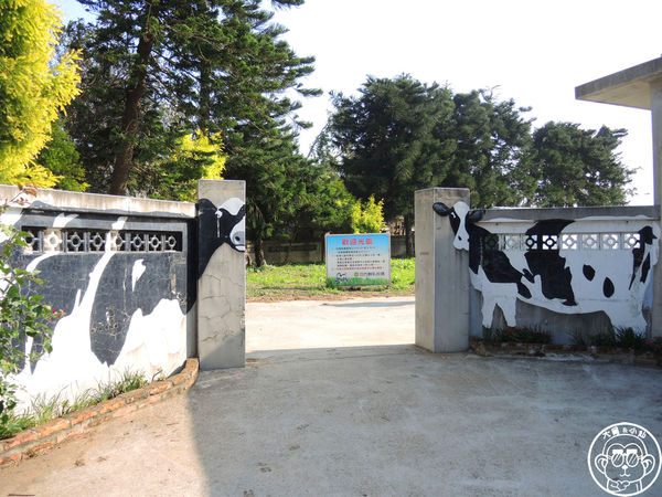 四方牧場：作伙來企投【苗栗竹南･四方鮮乳休閒牧場】哞〜