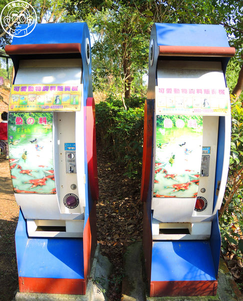 四方牧場：作伙來企投【苗栗竹南･四方鮮乳休閒牧場】哞〜