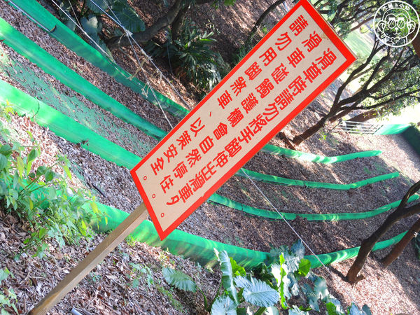 四方牧場：作伙來企投【苗栗竹南･四方鮮乳休閒牧場】哞〜