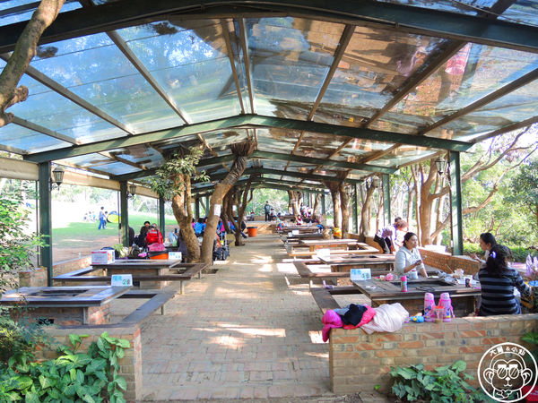 四方牧場：作伙來企投【苗栗竹南･四方鮮乳休閒牧場】哞〜