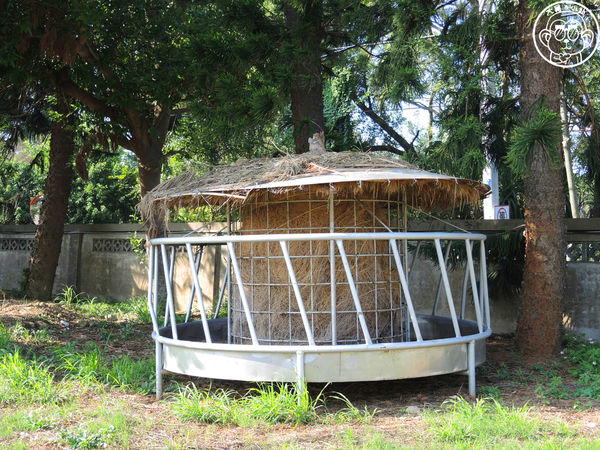 四方牧場：作伙來企投【苗栗竹南･四方鮮乳休閒牧場】哞〜