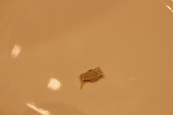 圓山大飯店:滬上品蟹第一家『王寶和至尊蟹宴』10/9號台北圓山大飯店登場