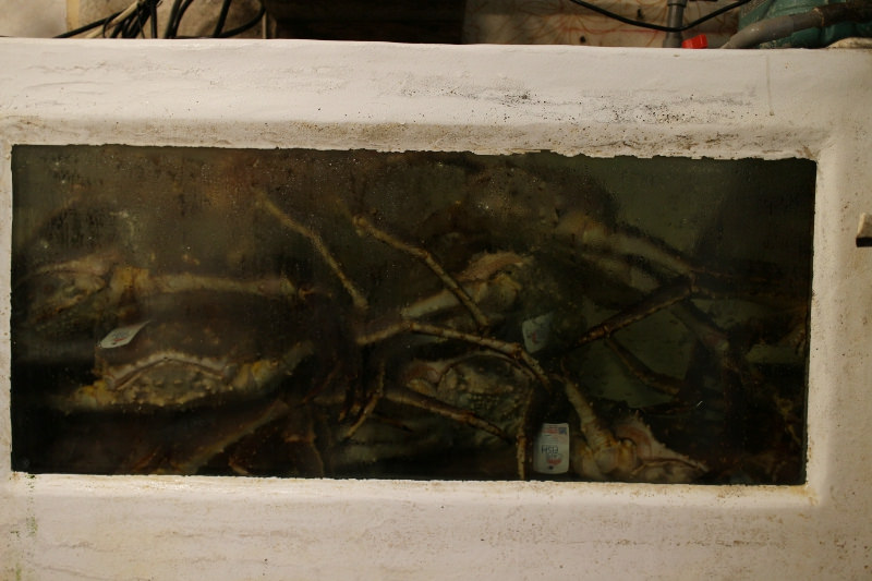 合江街89活海產