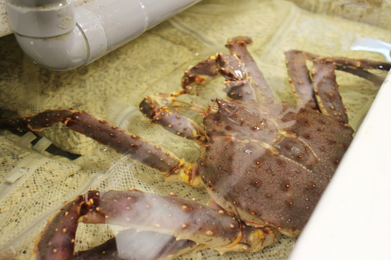 合江街89活海產