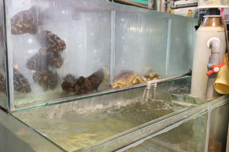 合江街89活海產