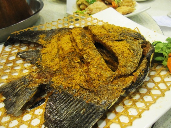 東北金稻子酸白菜火鍋：東北金稻子酸白菜火鍋 - 推薦酸白菜火鍋~