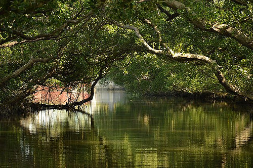 四草綠色隧道01
