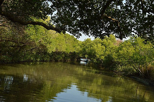 四草綠色隧道34