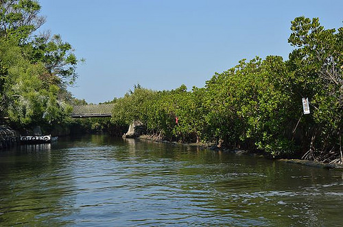 四草綠色隧道13
