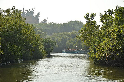 四草綠色隧道44