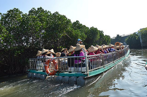 四草綠色隧道12