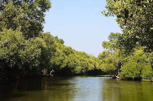 四草綠色隧道16