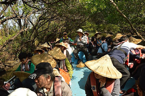 四草綠色隧道43