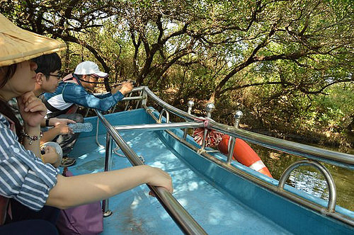 四草綠色隧道10